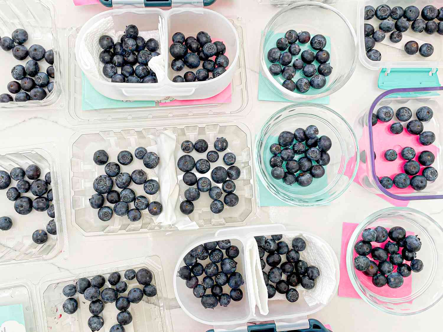 Recommendations on how you can Retailer Blueberries So They Last Longer