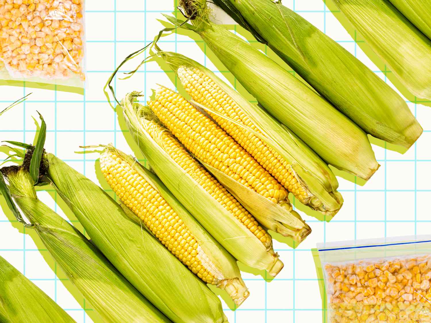 Learn how to Retailer Up to date Corn on the Cob