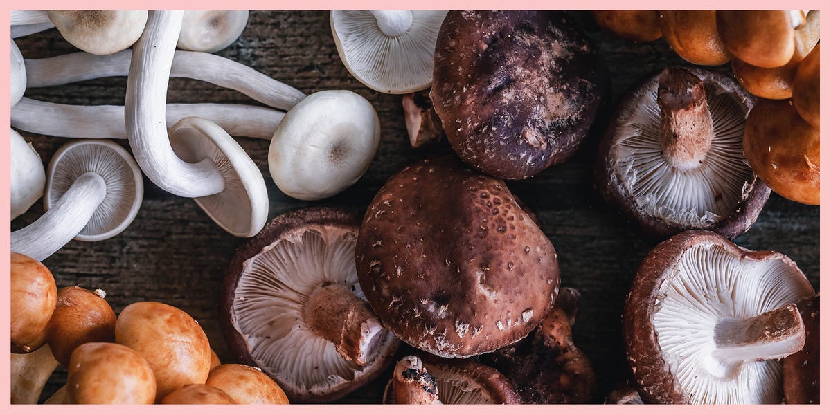 Types Of Mushrooms – Frequent Mushroom Varieties And How To Cook dinner dinner Them